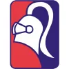 Knight Security Alarms