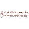 Genie of Clearwater