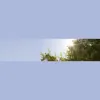 Dupont Roof & Gutter Cleaning