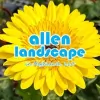 Allen Landscape