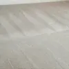 Galletta's Carpet, Tile & Upholstery Cleaning