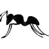 The Bug Guy