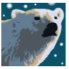 Polar Bear Air Conditioning & Heating