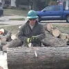Arborist Care Tree Service