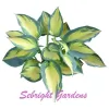 Sebright Gardens