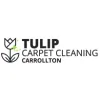 Tulip Carpet Cleaning Carrollton
