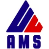 AMS Consulting