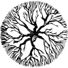 Roots & Shoots
