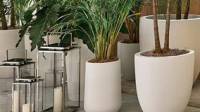 Clima Planters