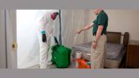 Mold Remediation and Restoration