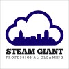 Steam Giant