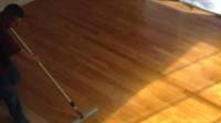 Hardwood Floor Staining