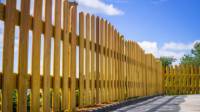 Wood Fence