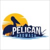 Pelican Prowash