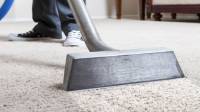 Carpet Cleaning