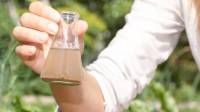 Water Testing