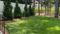 Professional Landscaping & Property Maintenance