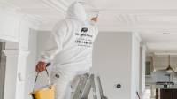 Residential Interior Painting