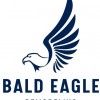 Bald Eagle Remodeling