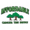 Affordable Carolina Tree Service
