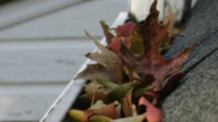 Gutter Cleaning