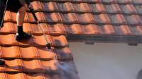 Roof Cleaning