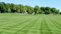 Lawn Care
