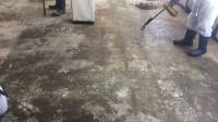 Asbestos Removal