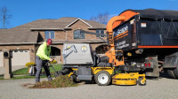 Fall Cleanup