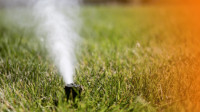 Irrigation Maintenance