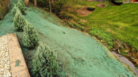 Hydroseeding
