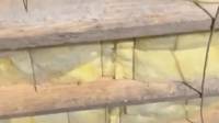 Mold Remediation & Removal