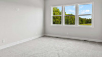 Carpet Cleaning