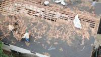 Emergency Roofing Service in Houston - We Respond Fast