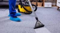 Carpet Cleaning