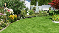 Landscape Design