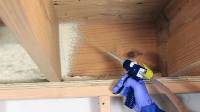Attic Sealing