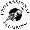 Professional Plumbing LLC - Lynnwood, WA