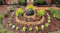 Landscape Design & Installation