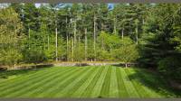 Lawn Mowing and Maintenance