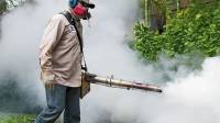 Mosquito Spraying