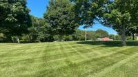 Lawn Renovation