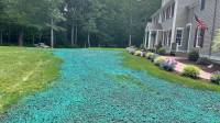Hydroseeding