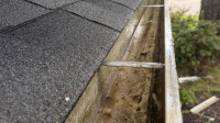 Gutter Cleaning