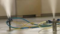 Mold Removal