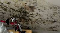 Mold Remediation