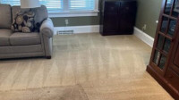 Residential Carpet Cleaning