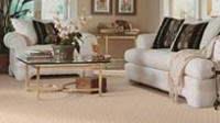Upholstery Steam Cleaning