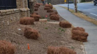 Seasonal Mulching