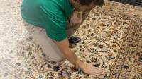 Area Rug Cleaning
